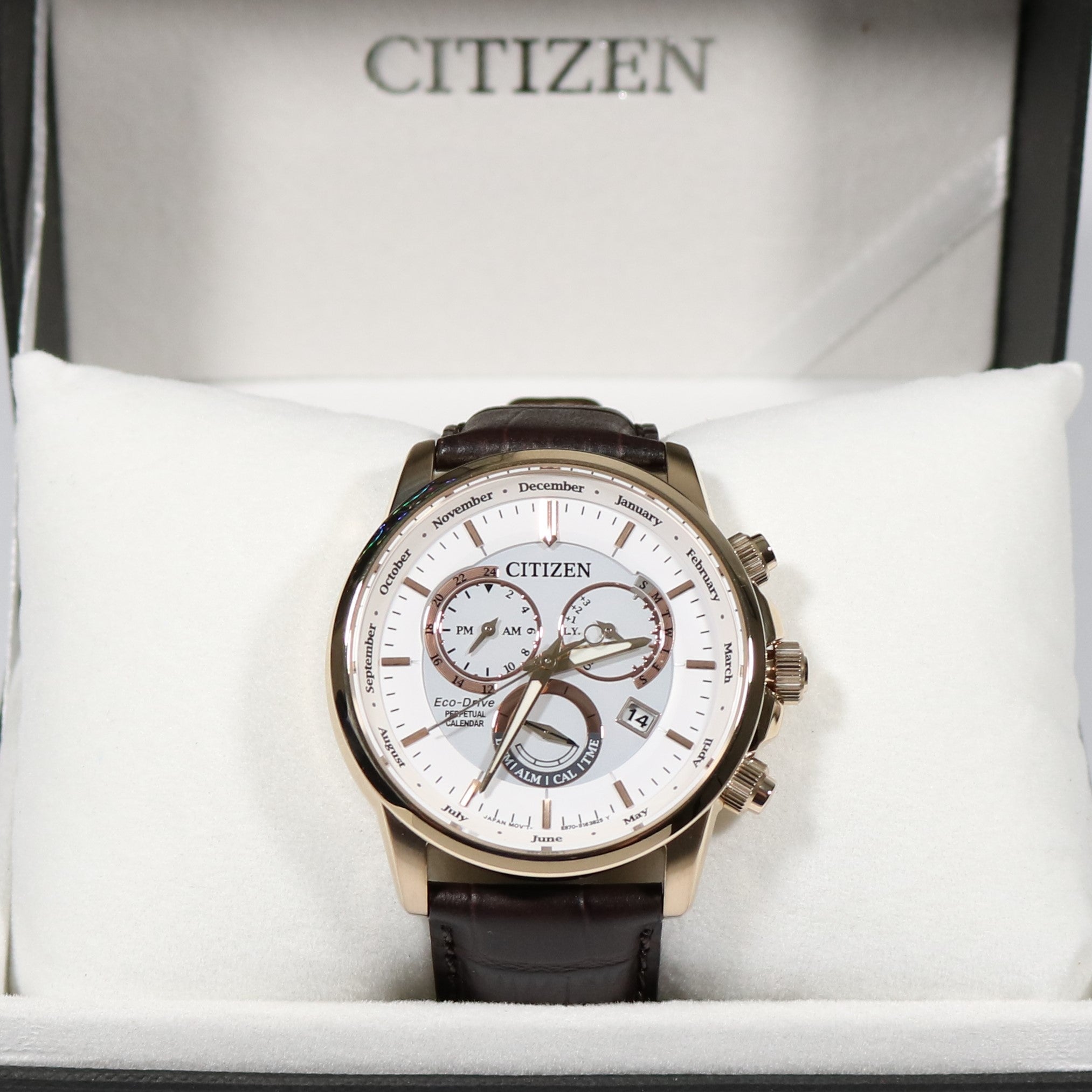 Citizen Eco Drive Perpetual Calendar International Edition Men's Watch BL8153-11A