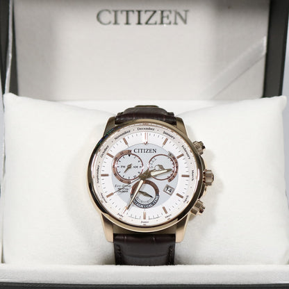 Citizen Eco Drive Perpetual Calendar International Edition Men's Watch BL8153-11A